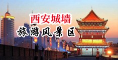 动画二次元女生被摸隐私中国陕西-西安城墙旅游风景区